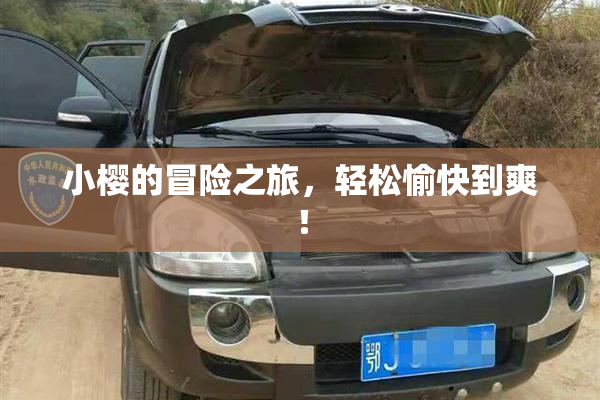 小樱的冒险之旅，轻松愉快到爽！
