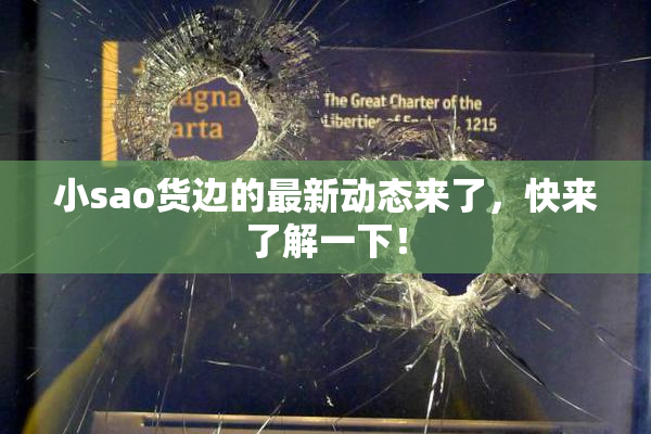 小sao货边的最新动态来了，快来了解一下！