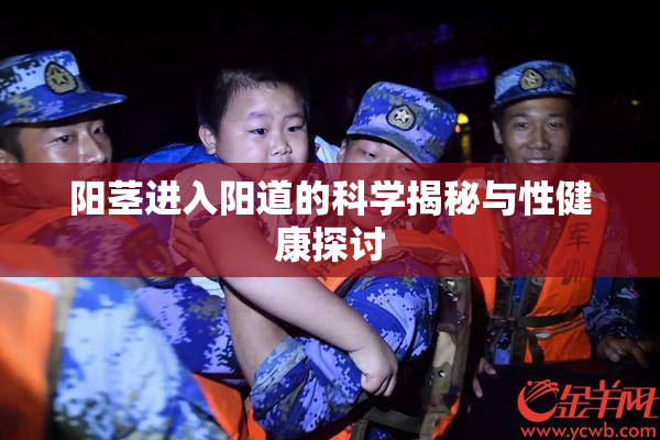 阳茎进入阳道的科学揭秘与性健康探讨