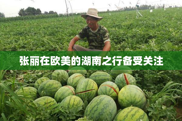 张丽在欧美的湖南之行备受关注