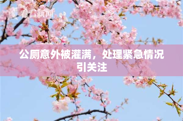 公厕意外被灌满，处理紧急情况引关注