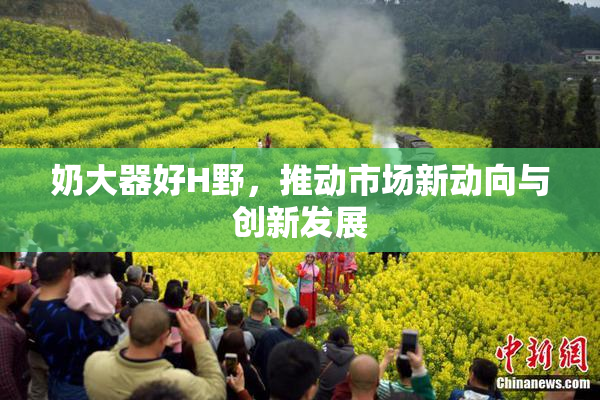 奶大器好H野，推动市场新动向与创新发展