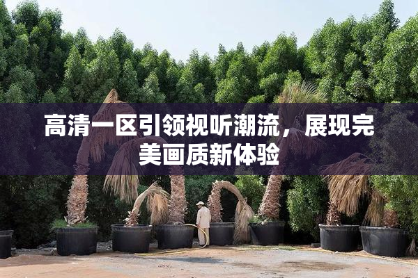 高清一区引领视听潮流，展现完美画质新体验