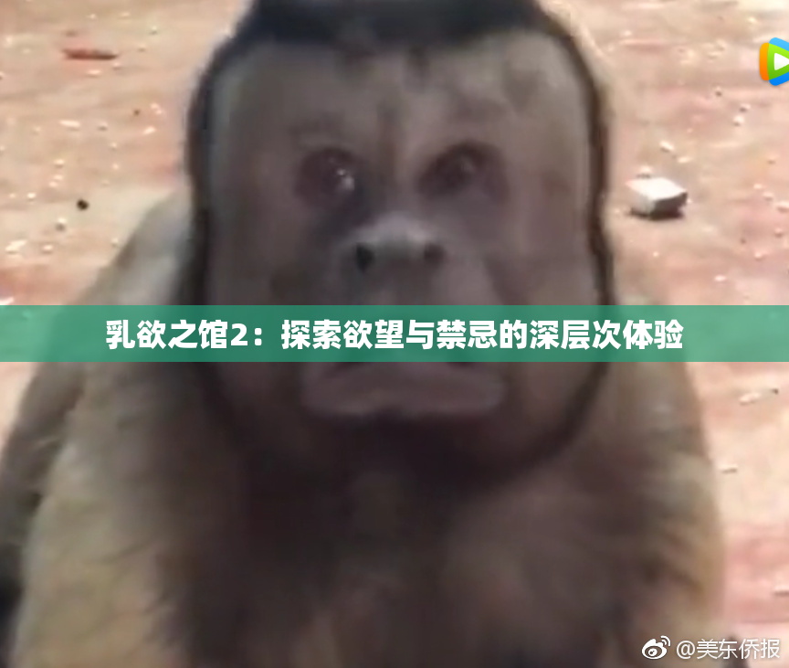乳欲之馆2：探索欲望与禁忌的深层次体验