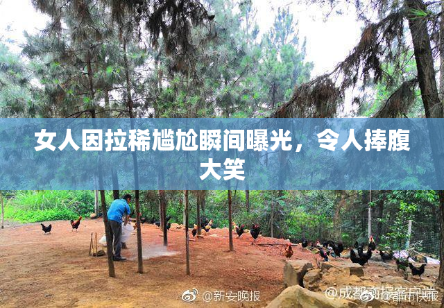 女人因拉稀尴尬瞬间曝光，令人捧腹大笑