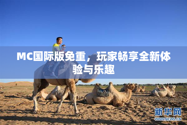 MC国际版免重，玩家畅享全新体验与乐趣