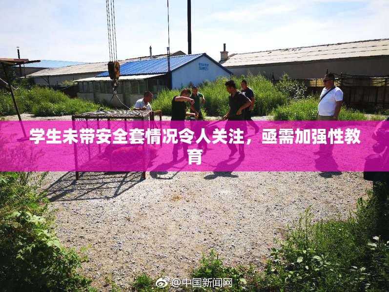 学生未带安全套情况令人关注，亟需加强性教育