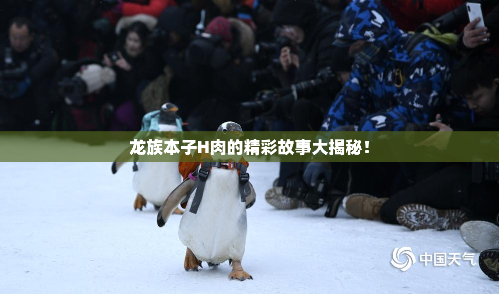 龙族本子H肉的精彩故事大揭秘！
