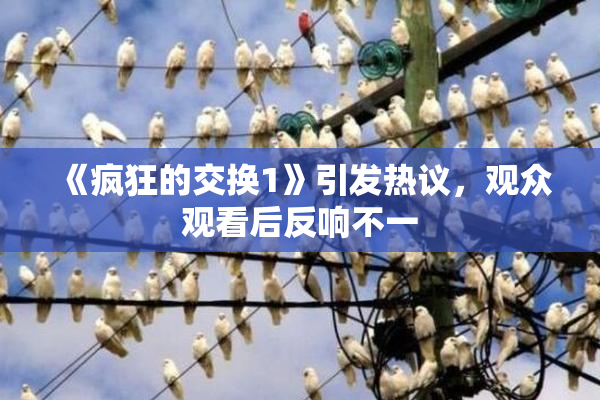 《疯狂的交换1》引发热议，观众观看后反响不一