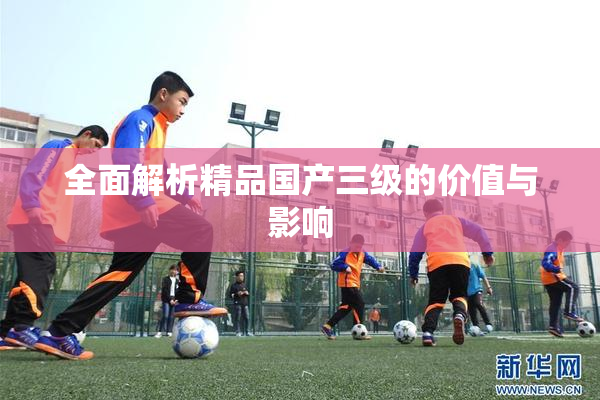 全面解析精品国产三级的价值与影响