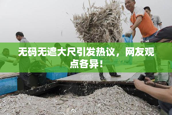 无码无遮大尺引发热议，网友观点各异！