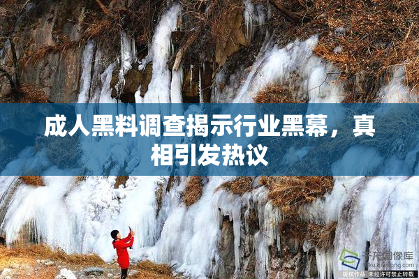 成人黑料调查揭示行业黑幕，真相引发热议