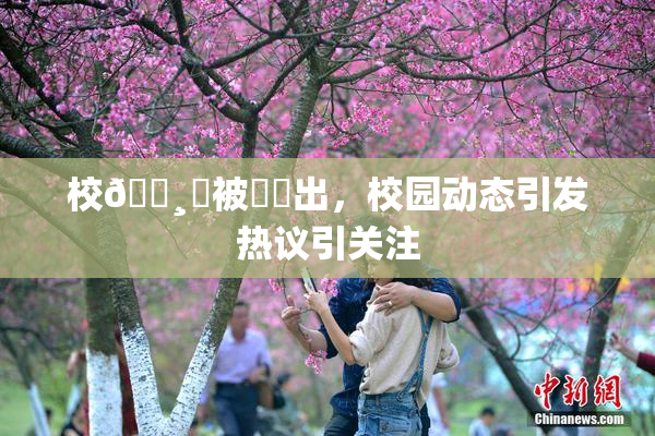 校🌸‌被❌‌出，校园动态引发热议引关注