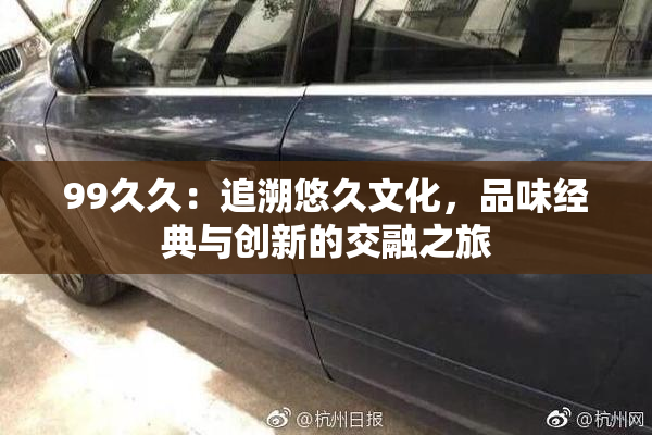 99久久：追溯悠久文化，品味经典与创新的交融之旅