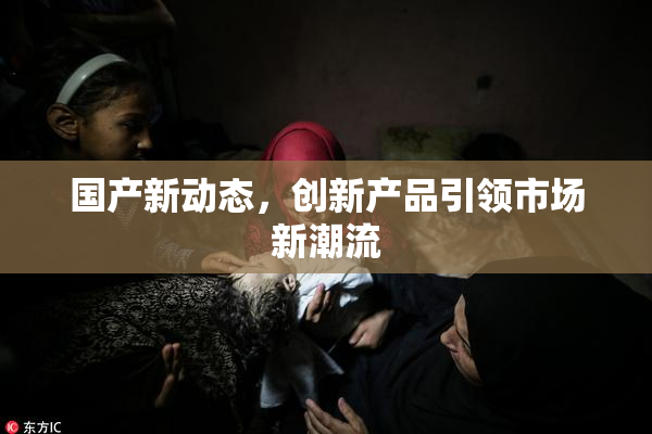 国产新动态，创新产品引领市场新潮流