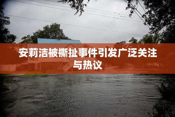 安莉洁被撕扯事件引发广泛关注与热议