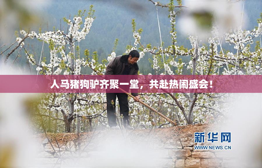 人马猪狗驴齐聚一堂，共赴热闹盛会！