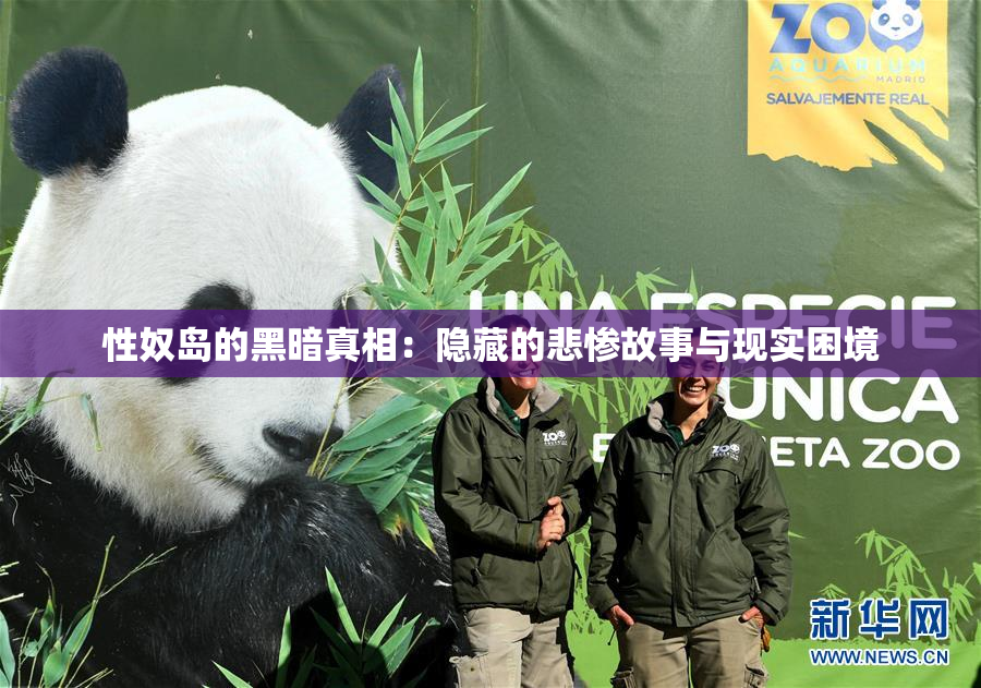 性奴岛的黑暗真相：隐藏的悲惨故事与现实困境