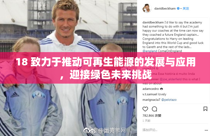 18 致力于推动可再生能源的发展与应用，迎接绿色未来挑战