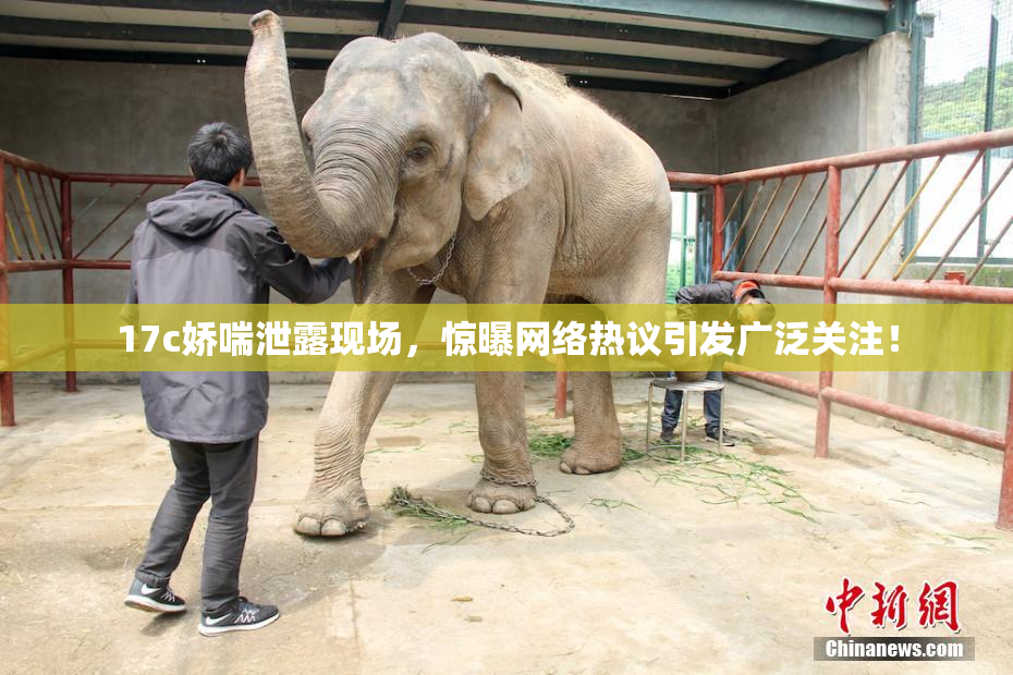 17c娇喘泄露现场，惊曝网络热议引发广泛关注！