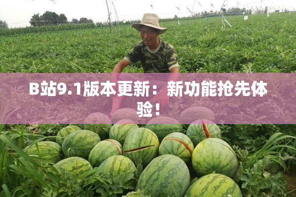 B站9.1版本更新：新功能抢先体验！
