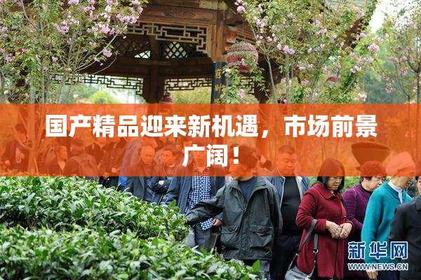 国产精品迎来新机遇，市场前景广阔！