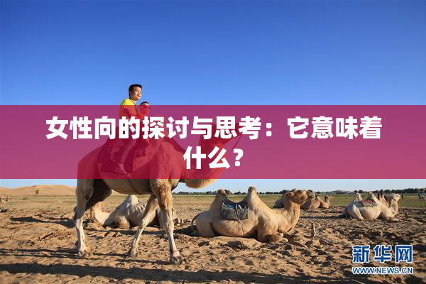 女性向的探讨与思考：它意味着什么？