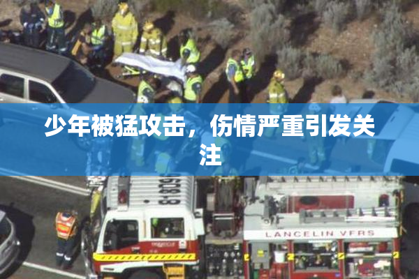 少年被猛攻击，伤情严重引发关注