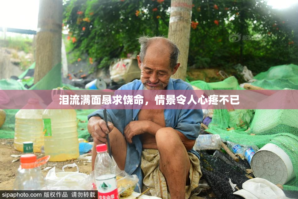 泪流满面恳求饶命，情景令人心疼不已