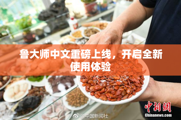 鲁大师中文重磅上线，开启全新使用体验