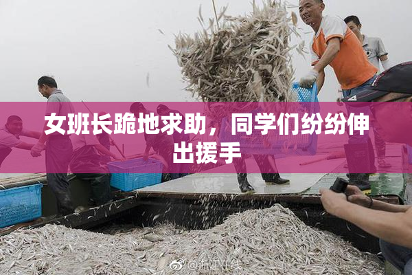 女班长跪地求助，同学们纷纷伸出援手