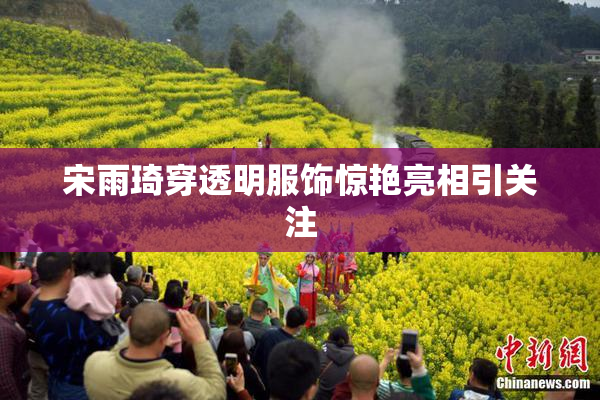 宋雨琦穿透明服饰惊艳亮相引关注