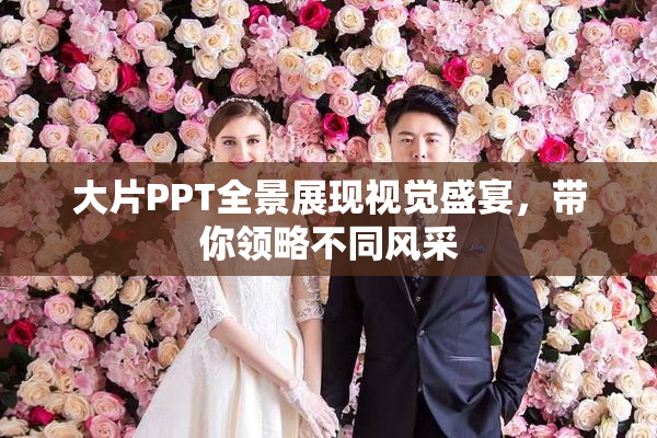 大片PPT全景展现视觉盛宴，带你领略不同风采