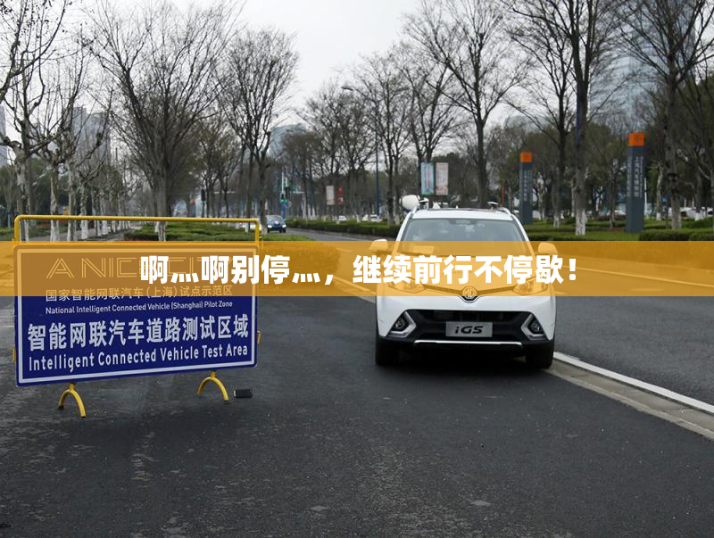 啊灬啊别停灬，继续前行不停歇！