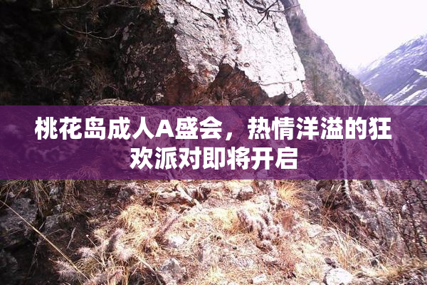 桃花岛成人A盛会，热情洋溢的狂欢派对即将开启