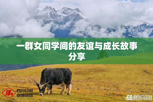 一群女同学间的友谊与成长故事分享