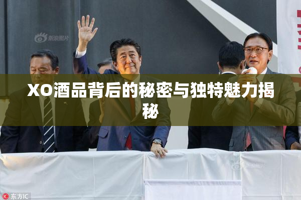XO酒品背后的秘密与独特魅力揭秘