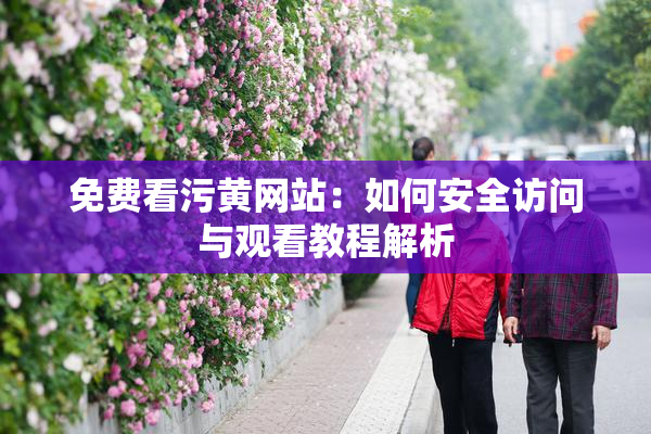 免费看污黄网站：如何安全访问与观看教程解析