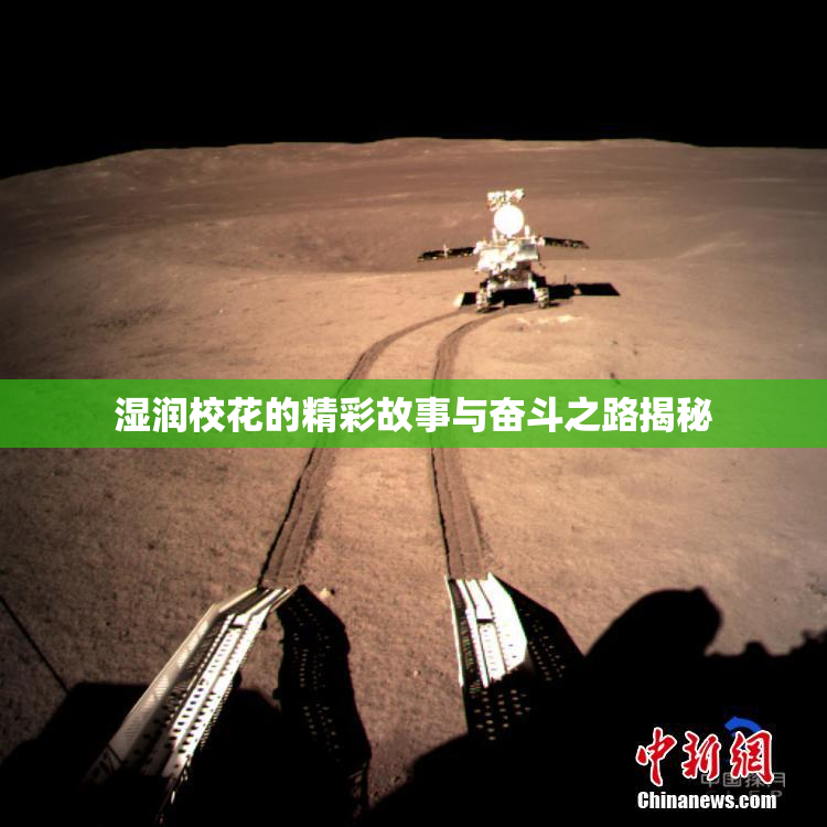湿润校花的精彩故事与奋斗之路揭秘