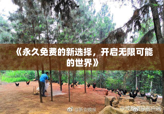 《永久免费的新选择，开启无限可能的世界》