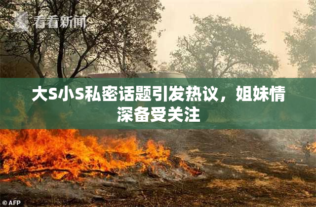 大S小S私密话题引发热议，姐妹情深备受关注