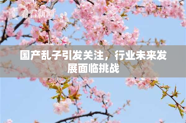 国产乱子引发关注，行业未来发展面临挑战