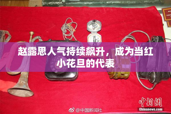 赵露思人气持续飙升，成为当红小花旦的代表