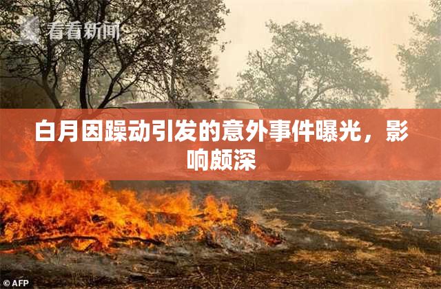 白月因躁动引发的意外事件曝光，影响颇深