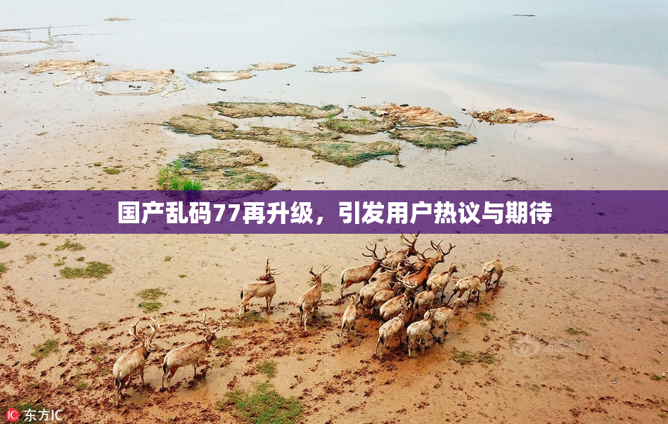 国产乱码77再升级，引发用户热议与期待