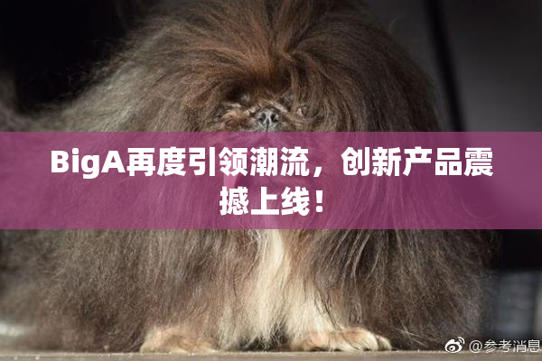 BigA再度引领潮流，创新产品震撼上线！