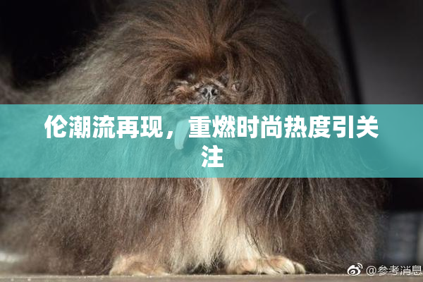 伦潮流再现，重燃时尚热度引关注