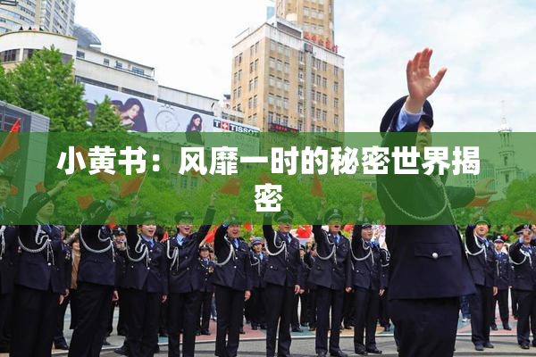 小黄书：风靡一时的秘密世界揭密
