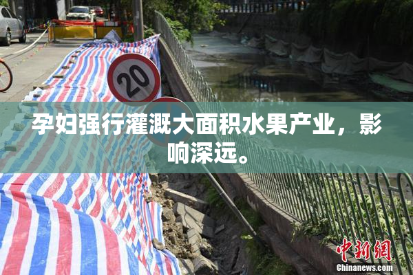 孕妇强行灌溉大面积水果产业，影响深远。