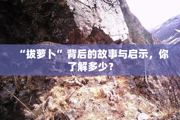 “拔萝卜”背后的故事与启示，你了解多少？